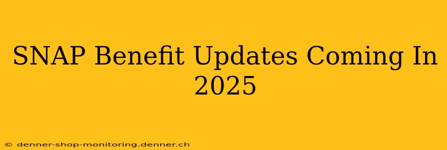 SNAP Benefit Updates Coming In 2025